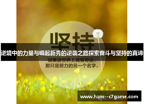 逆境中的力量与崛起新秀的逆袭之路探索奋斗与坚持的真谛 逆境中的力量与崛起新秀的逆袭之路探索奋斗与坚持的真谛