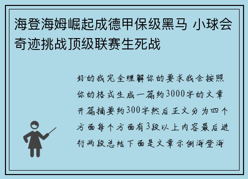 海登海姆崛起成德甲保级黑马 小球会奇迹挑战顶级联赛生死战